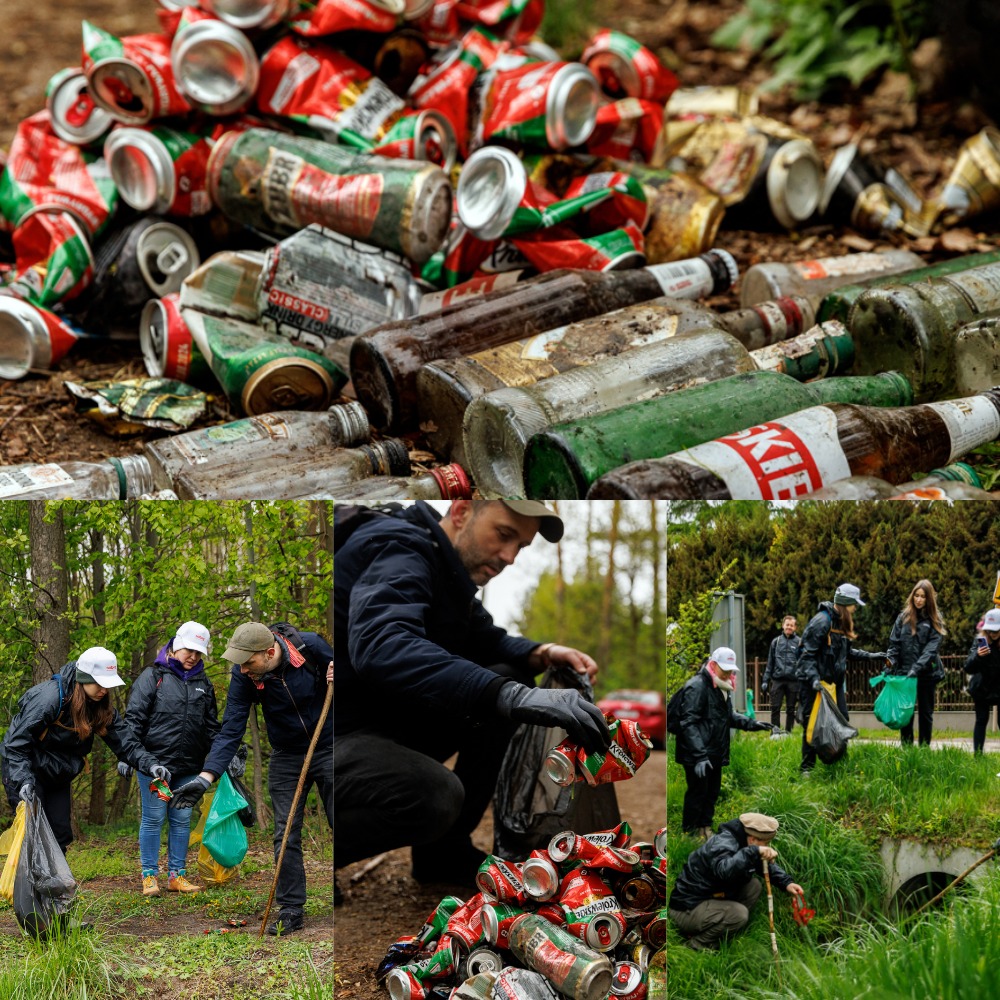 Saving Nature Step by Step
